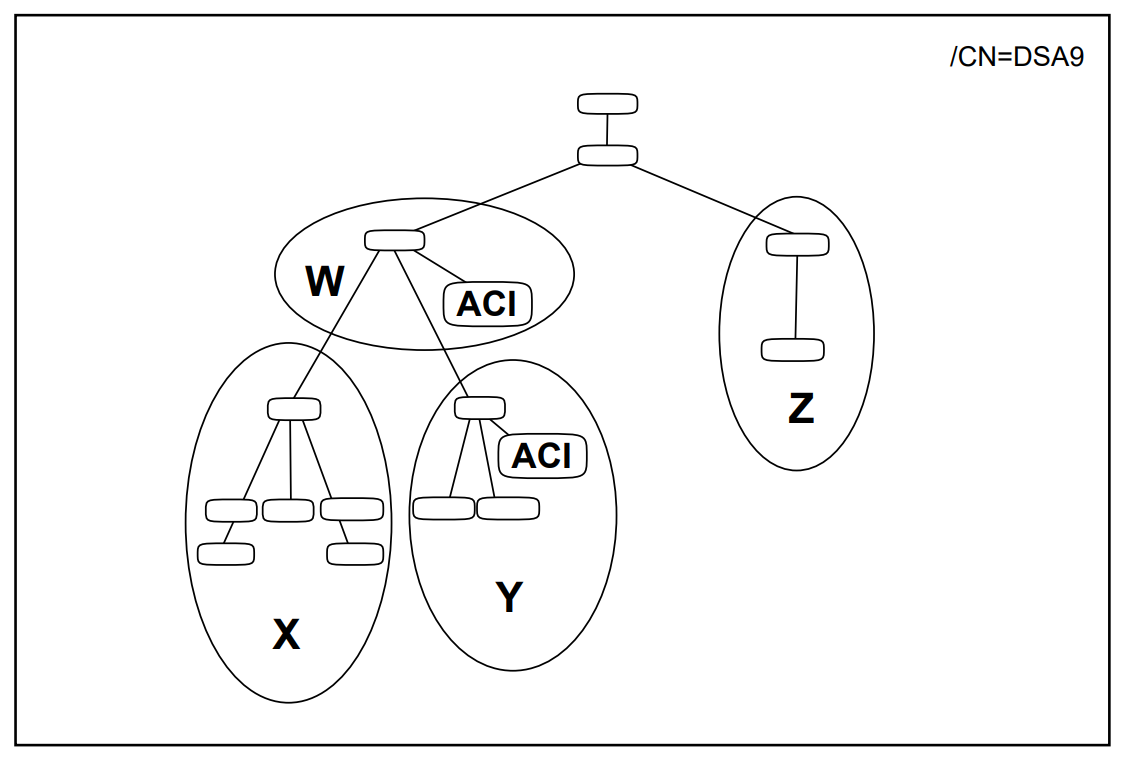 Access Control in a DSA