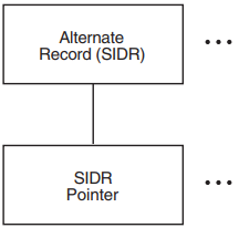 Structure of Alternate Records