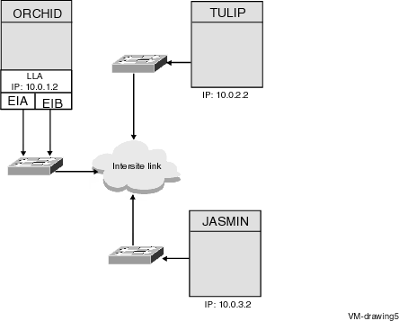 Logical LAN Failover IP OpenVMS Cluster System