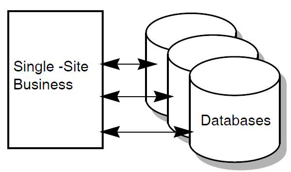 A Single-Site Business with Multiple Databases