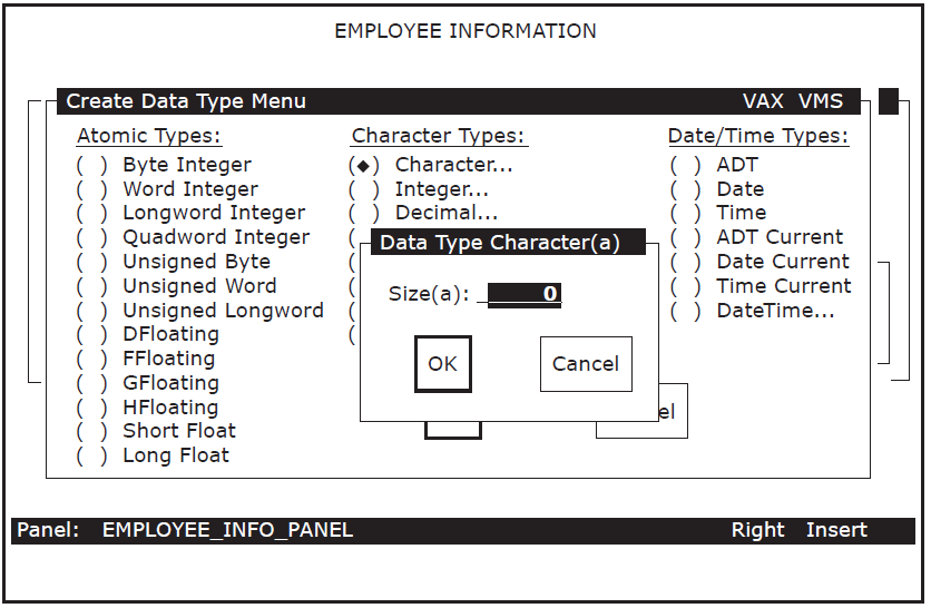 Data Type Character Window