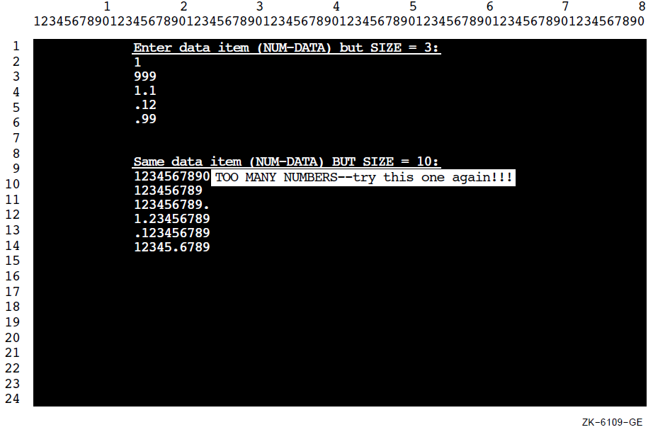 Screen Display of NUM-DATA Using the PROTECTED Option