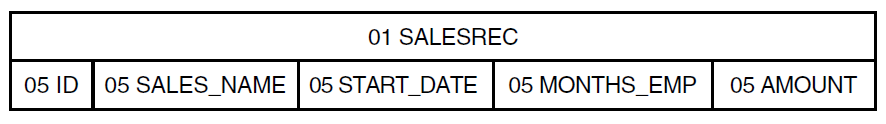 Field Structure of SALES_REC