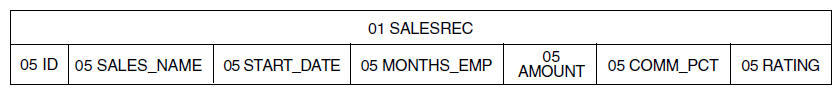 Revised Field Structure of SALES_REC