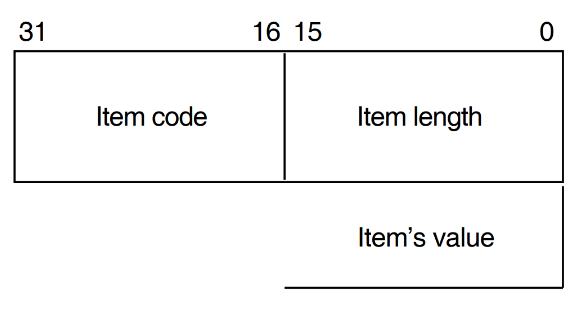 The Format of an Item