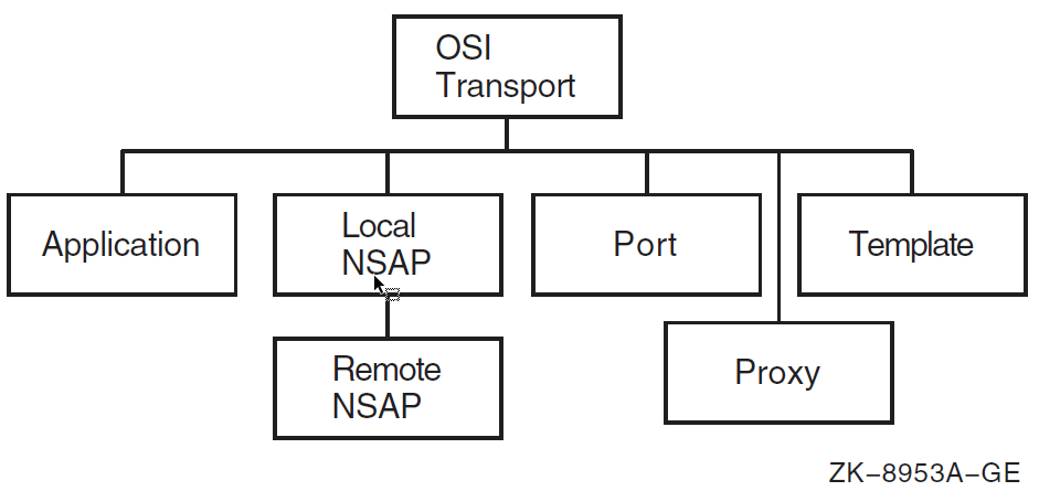 osi transport Entity