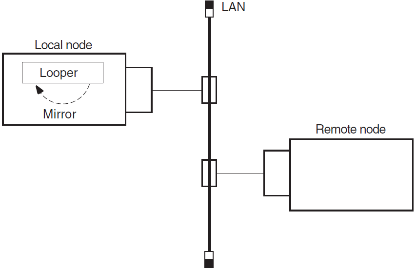 Local-to-Local Loopback Test