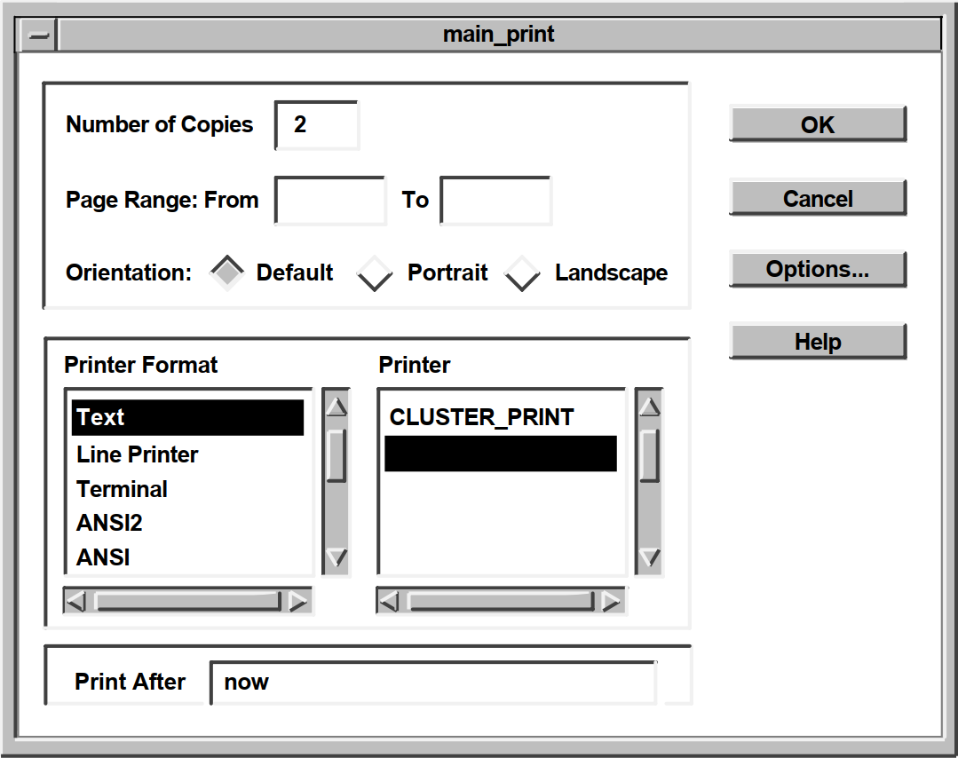 Print Widget Main Dialog Box