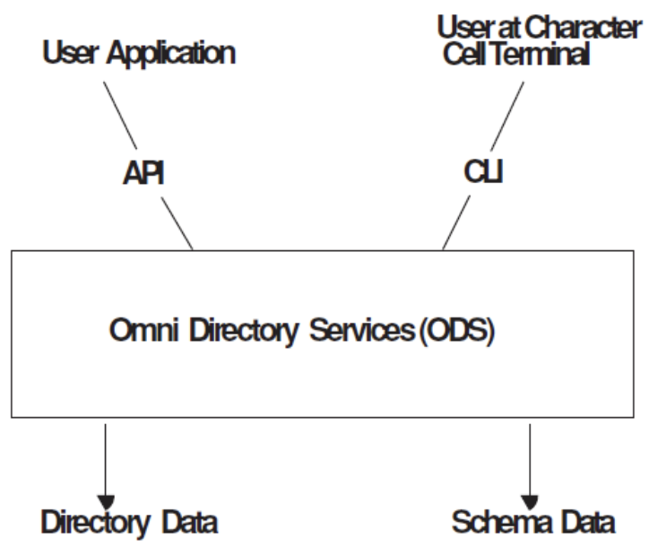 ODS Access Paths