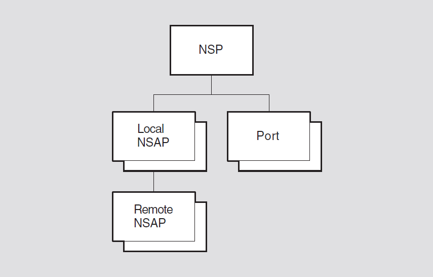 Hierarchy of NSP Module Entities