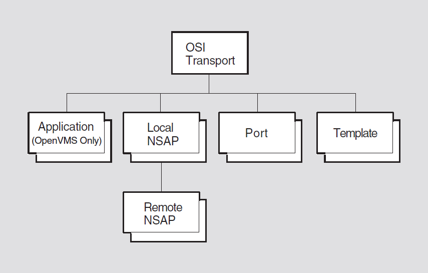 Hierarchy of OSI Transport Module Entities