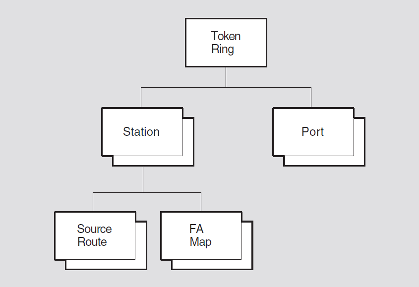 Hierarchy of Token Ring Module Entities