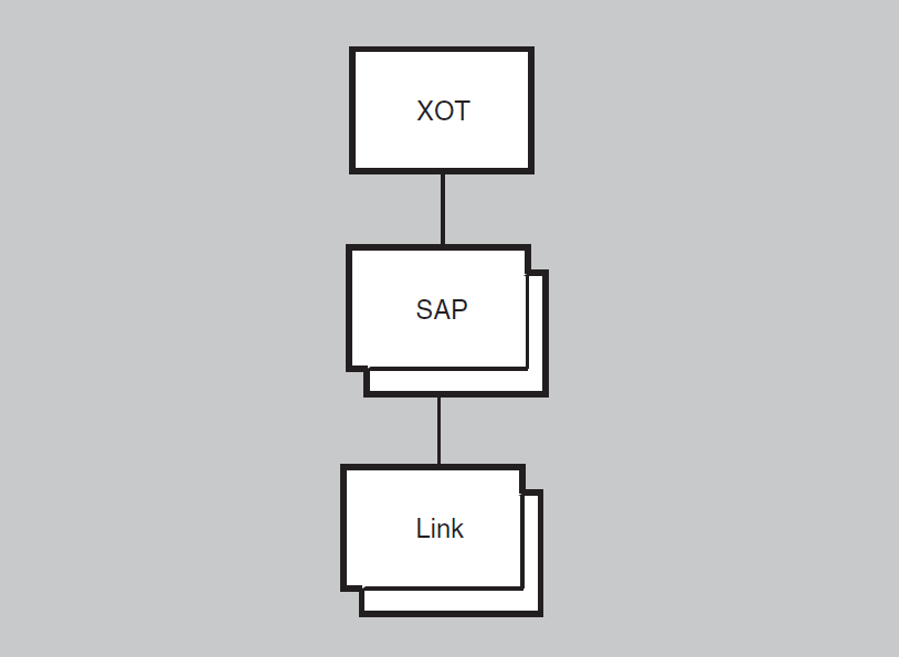 Hierarchy of XOT Module Entities