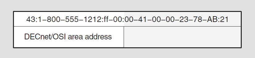 Area Address Portion of the NSAP Address