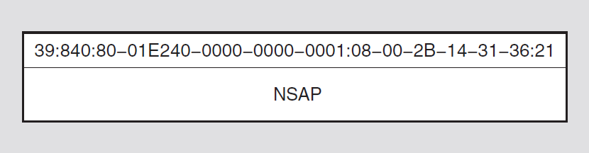 Example NSAP