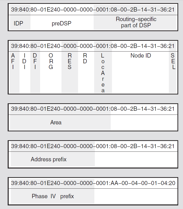 NSAP Fields: DNA Format Examples