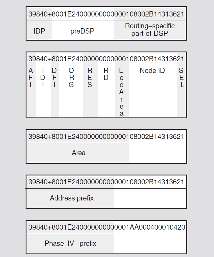 NSAP Fields: OSI Format Examples