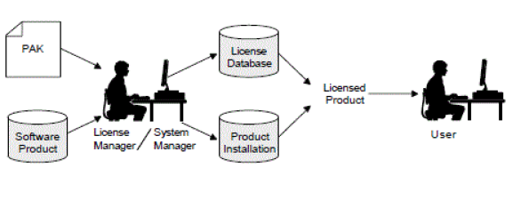 The PAK and Software Routes to a License