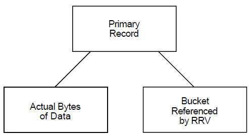 Structure of Primary Records
