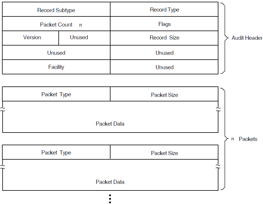 Format of a Security Audit Message