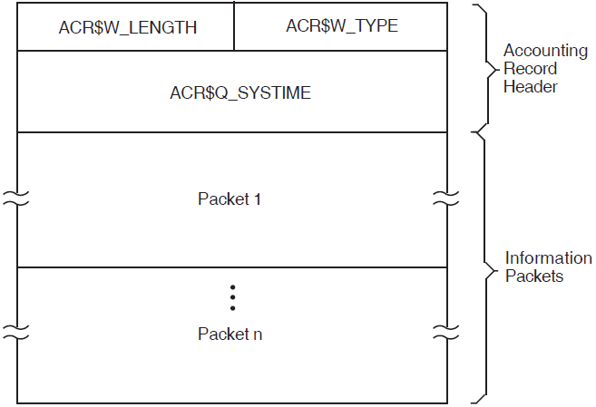 Format of an Accounting Record