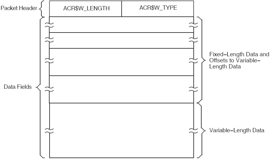 Format of an Information Packet