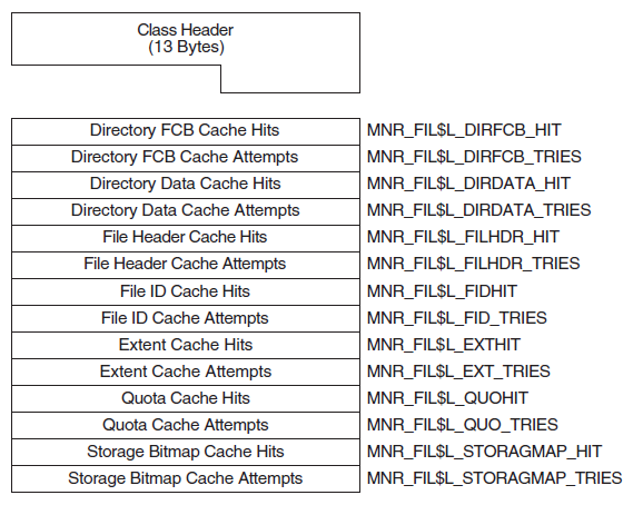 FILE_SYSTEM_CACHE Class Record Format
