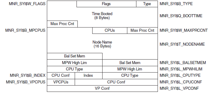 System Information Record Format - Alpha and Integrity servers