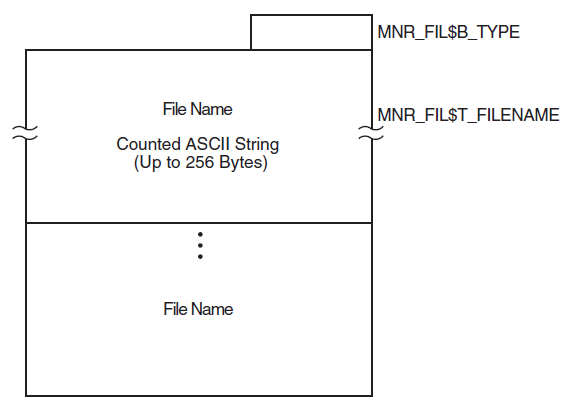 RMS File Record Format